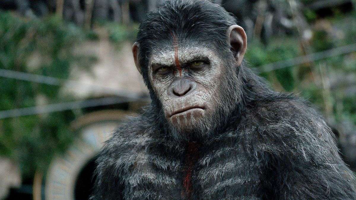 The Dawn of the Planet of the Apes (2014) Movie Ending Explained