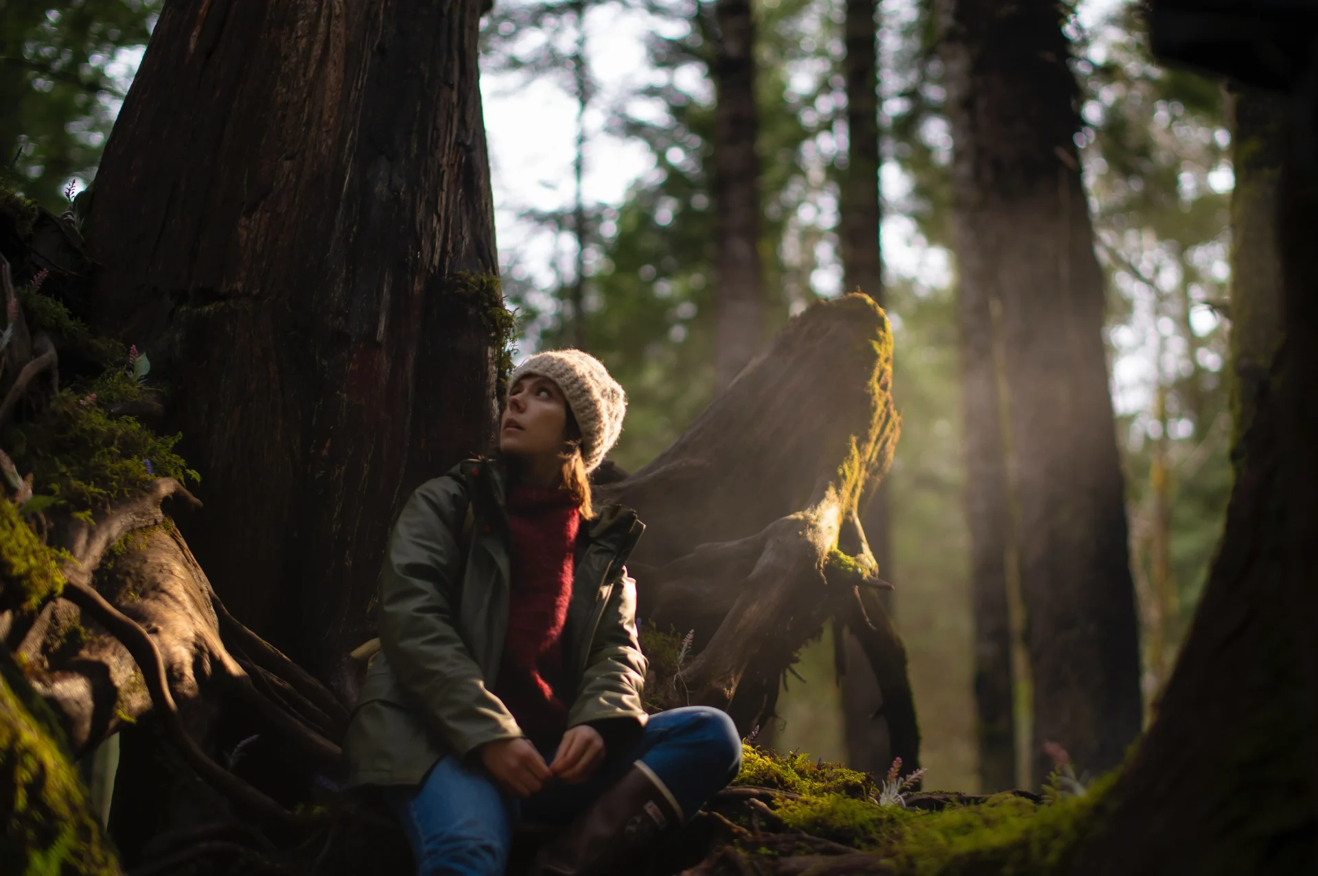 The Island Between Tides (2024) ‘Cinequest’ Movie Review