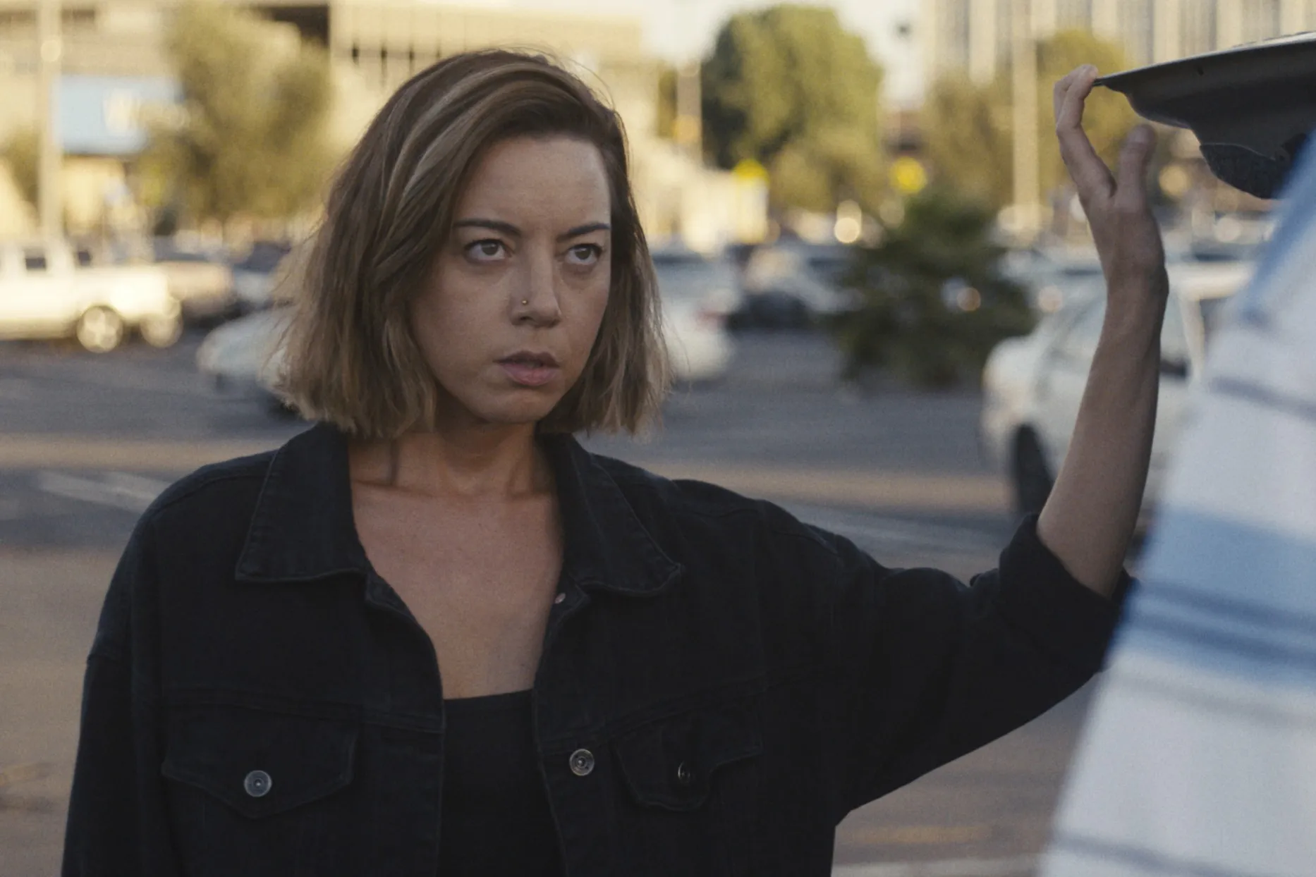 "John Waters announces Aubrey Plaza's role in his new project, seeking funding for its realization, promising his trademark quirky style."
