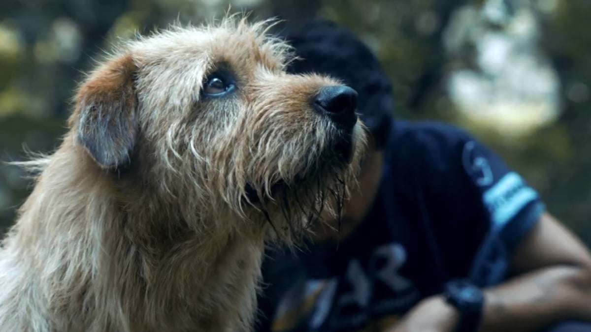 Arthur The King (2024) Movie Ending Explained