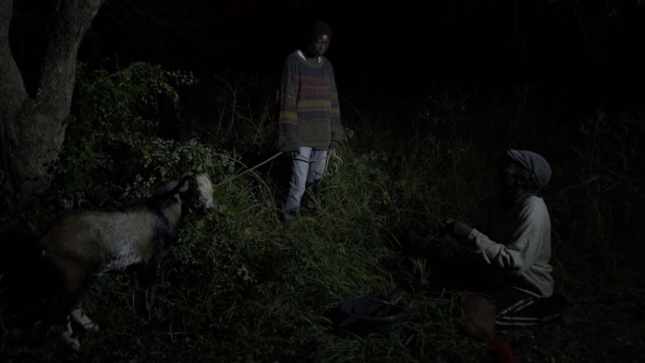 The Nights Still Smell of Gunpowder (2024) ‘CPH: DOX’ Movie Review