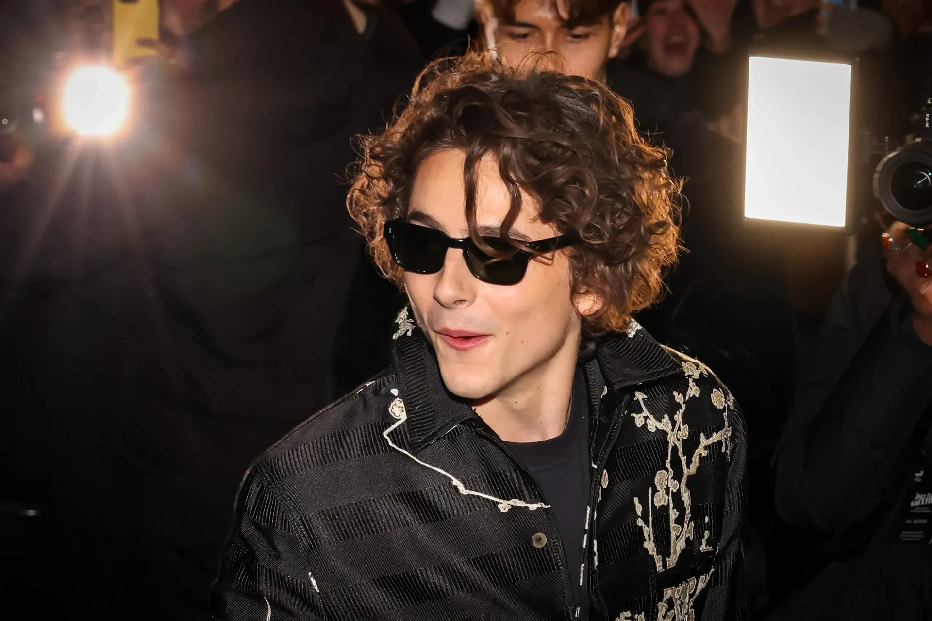 Timothée Chalamet box office