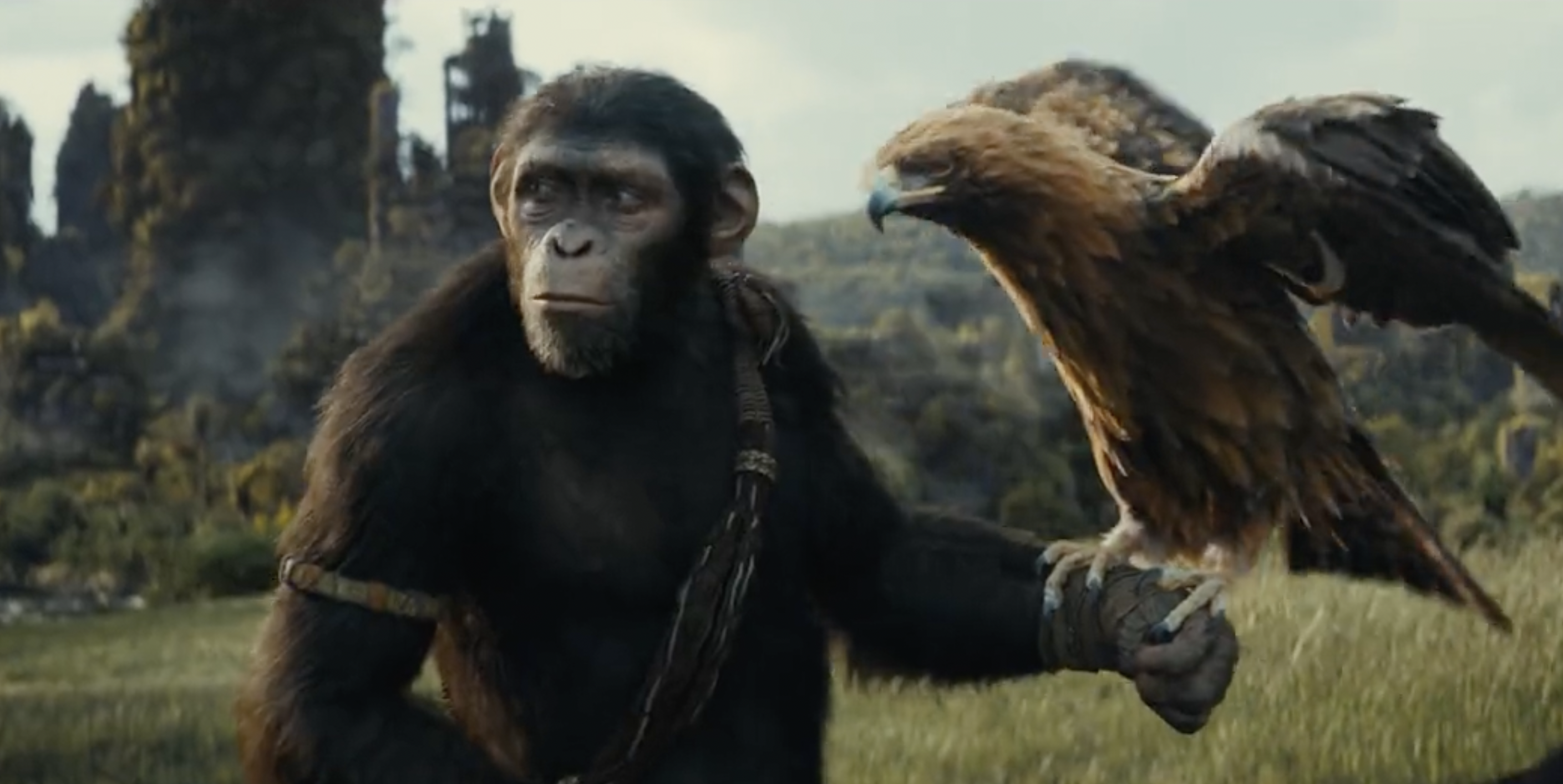 Kingdom of the Planet of the Apes (2024) Movie Review