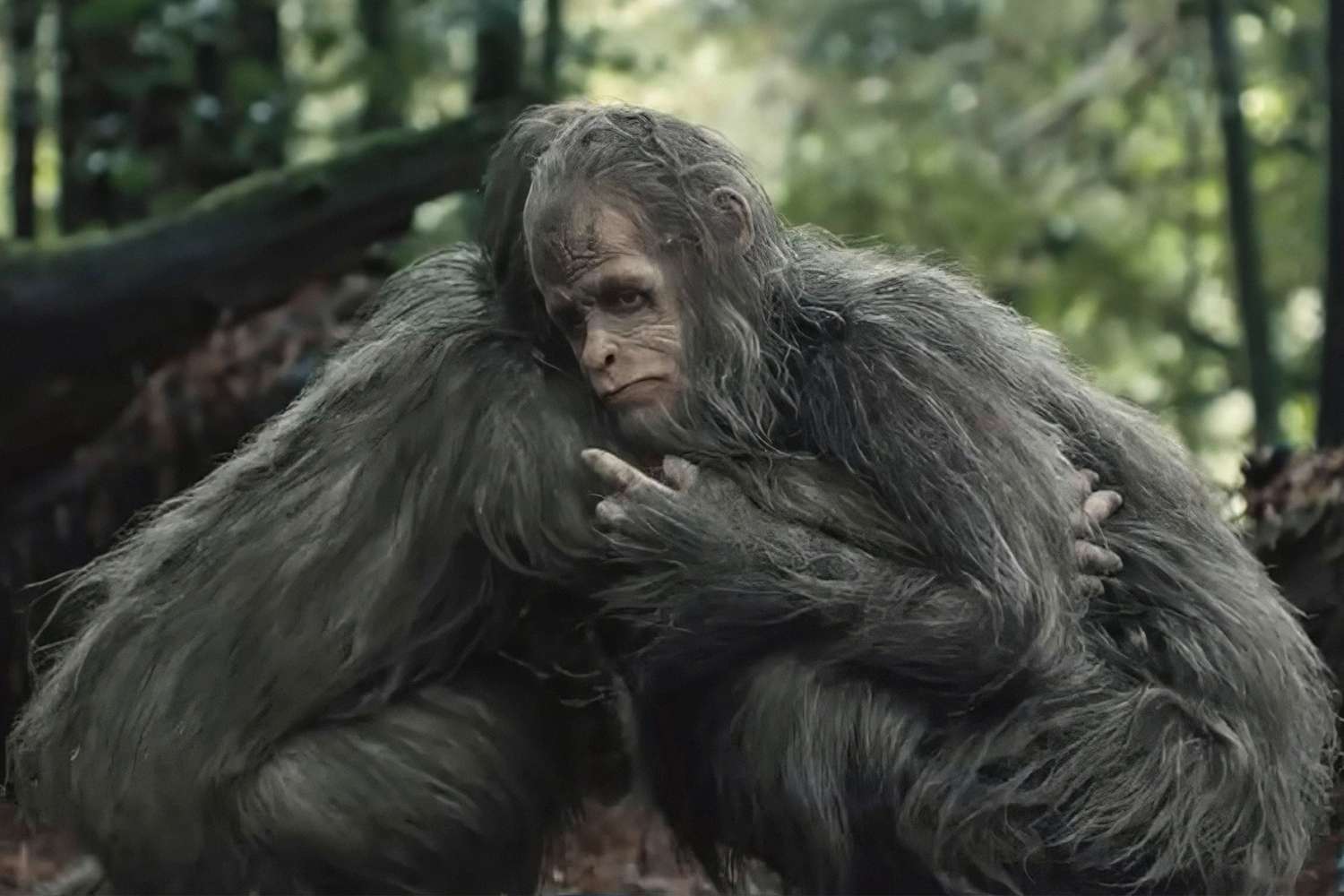 Sasquatch Sunset (2024) Movie Ending Explained & Themes Analysed