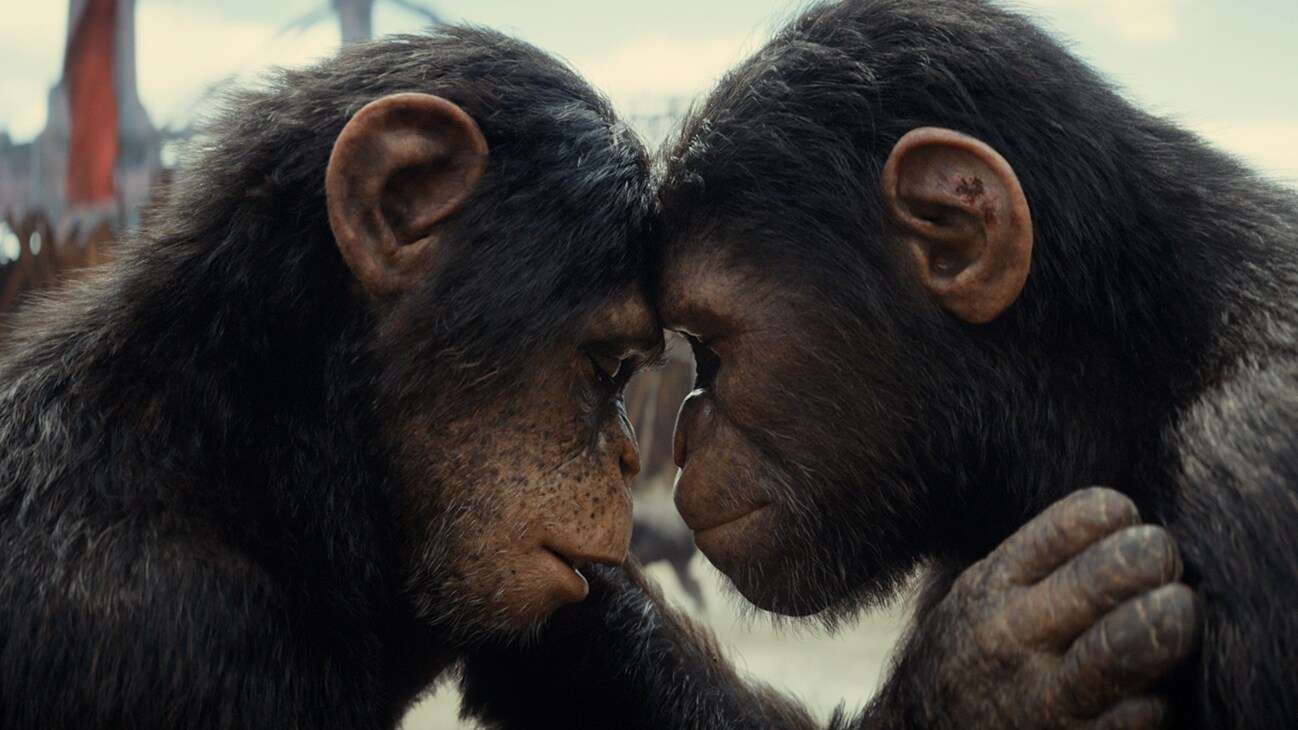 Kingdom of the Planet of the Apes Streaming