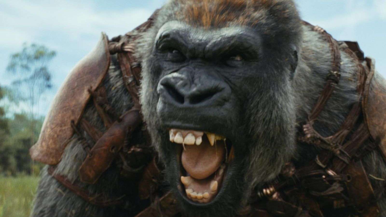 Kingdom of the Planet of the Apes (2024) Movie Ending Explained