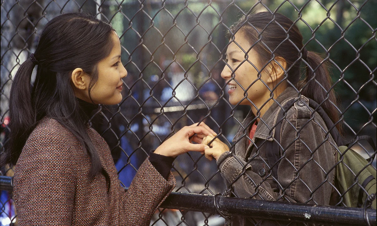 Saving Face (2004) 