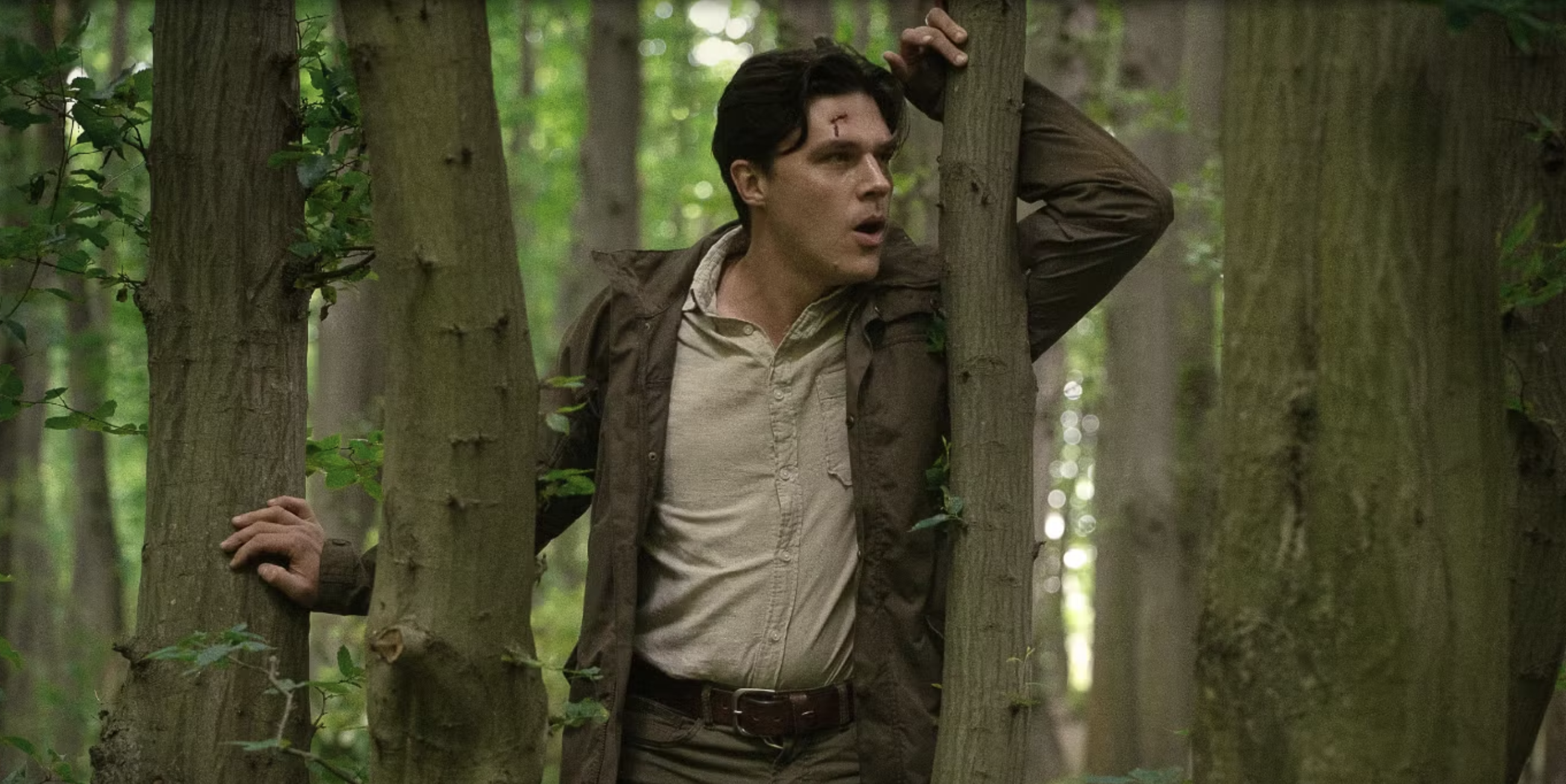 7 Movies To Watch If You Liked 'Don’t Move' on Netflix