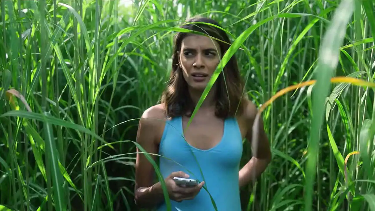 In the Tall Grass (2019)