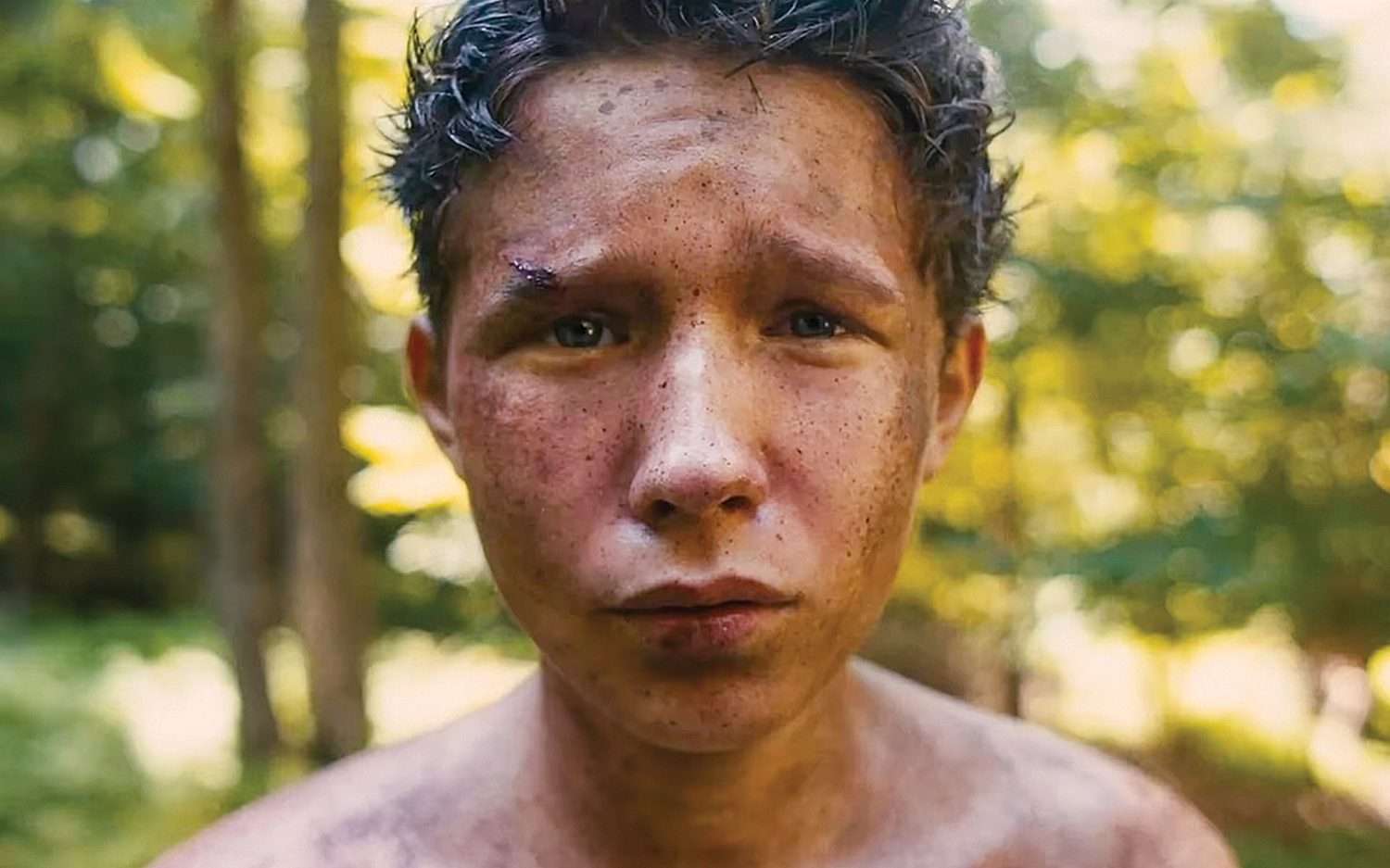 Lost on a Mountain in Maine (2024) Movie Review