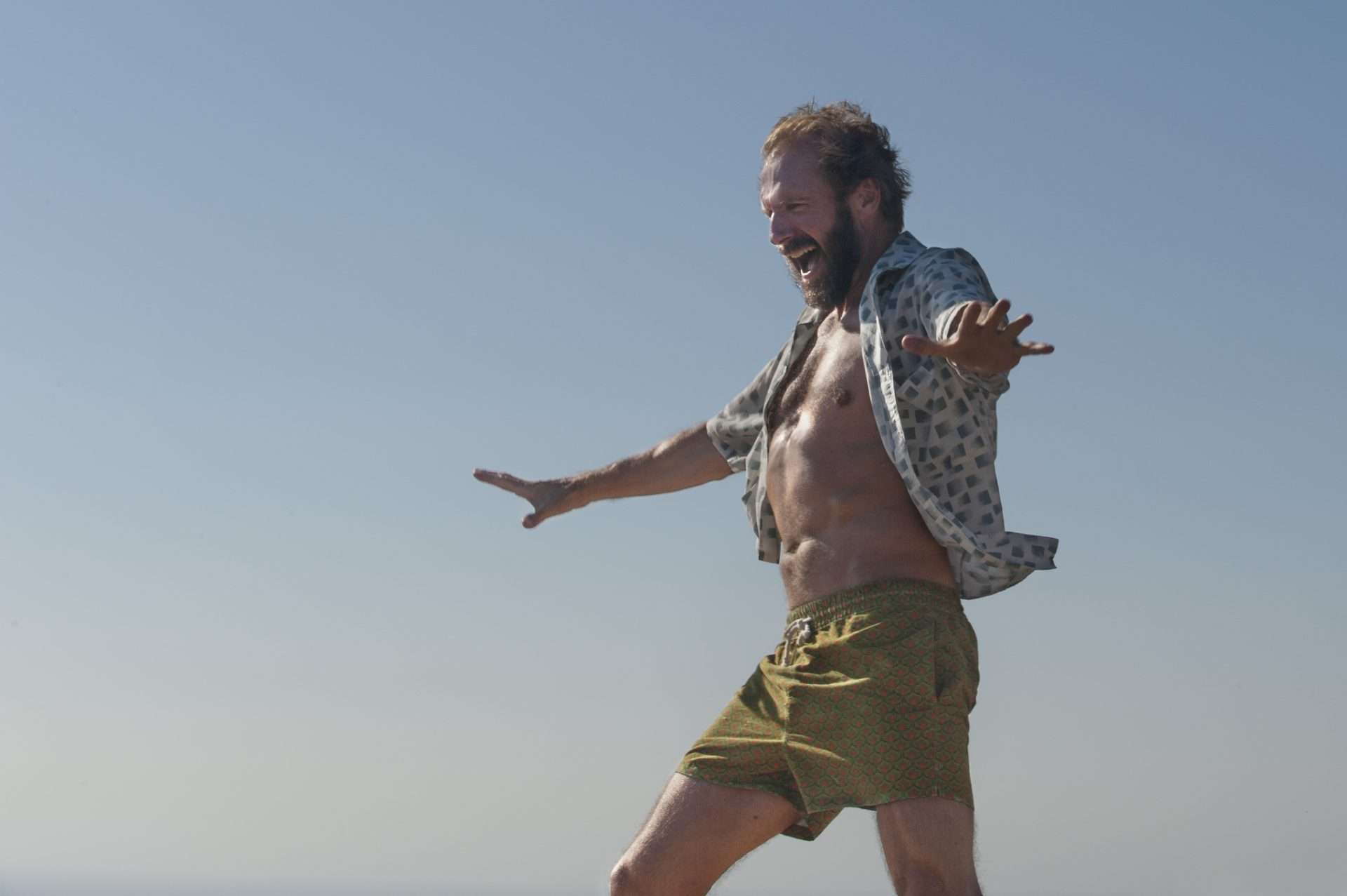 A Bigger Splash (2015) ralph fiennes