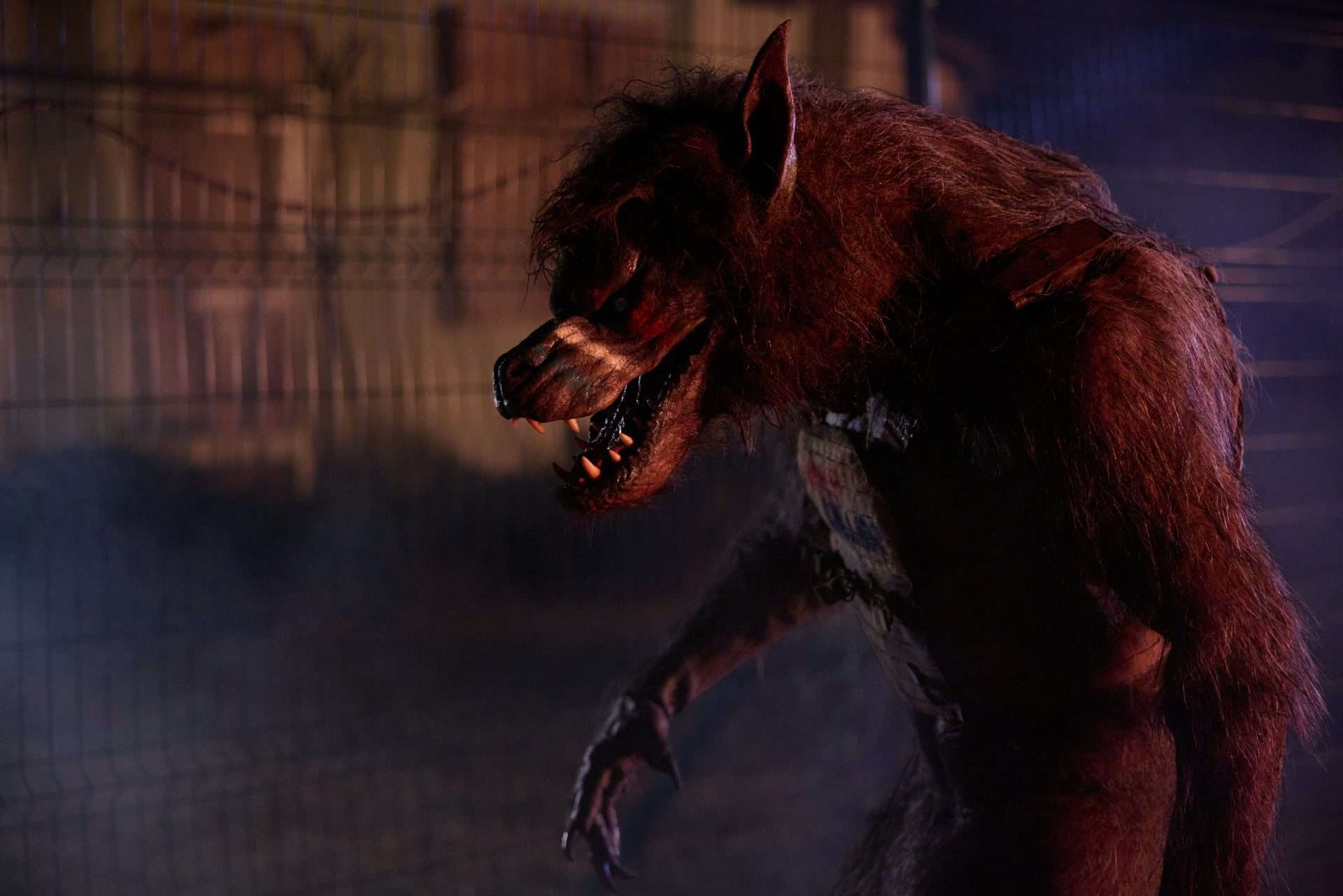 Werewolves (2024)