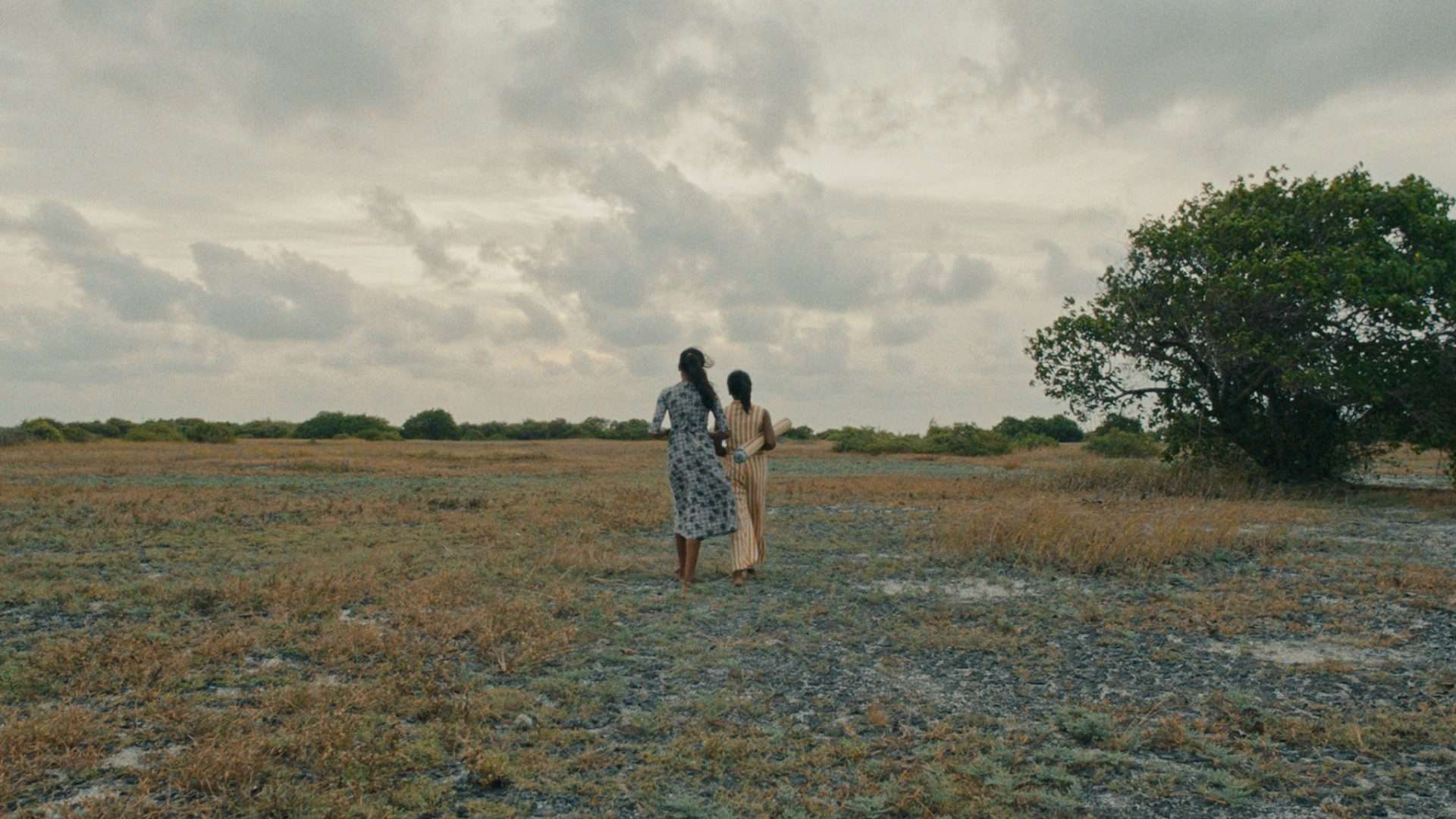 Your Touch Makes Others Invisible (2025)
