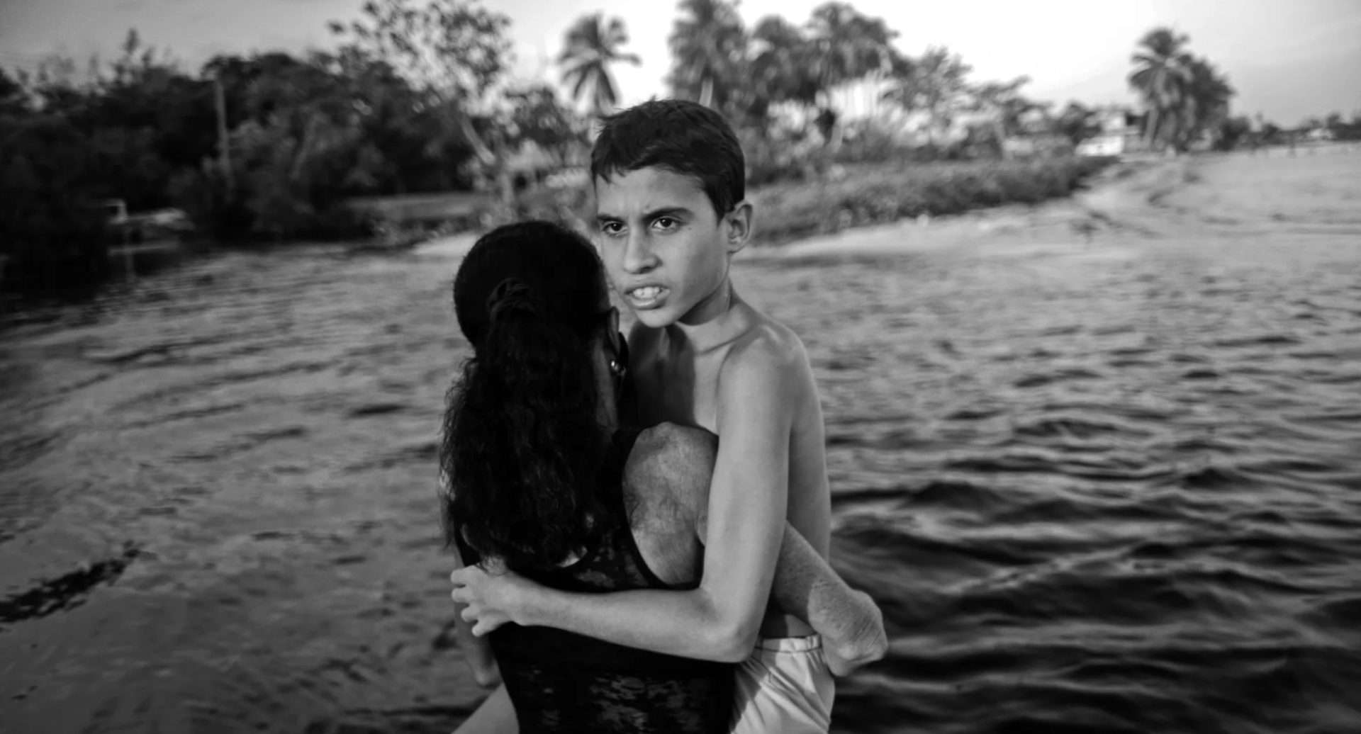 To the West, in Zapata (Al Oeste, en Zapata, 2025)