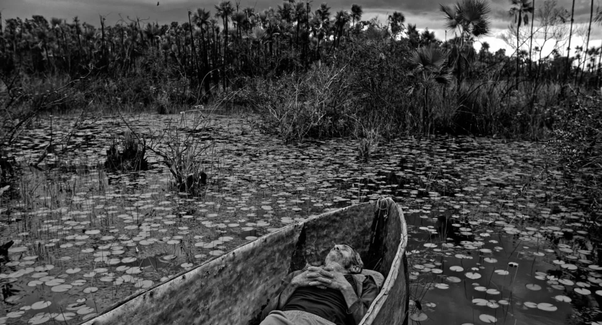 To the West, in Zapata (Al Oeste, en Zapata, 2025)