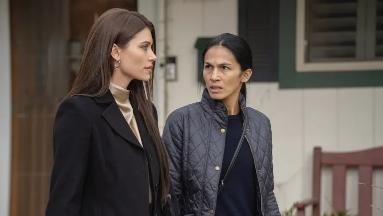 The Cleaning Lady (Season 4): Release Schedule of All Episodes, Plot & Where to Watch