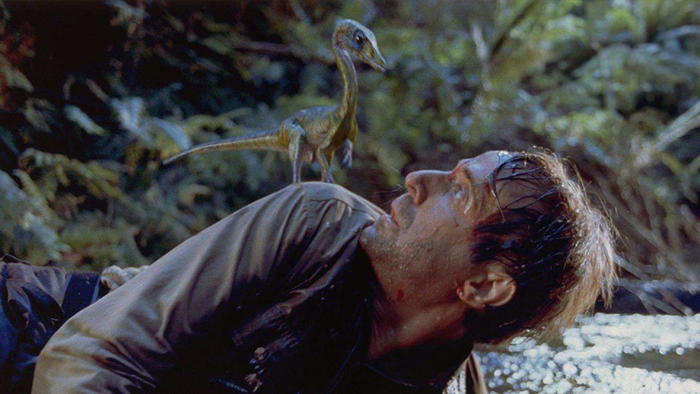 A still from The Lost World: Jurassic Park (1997).
