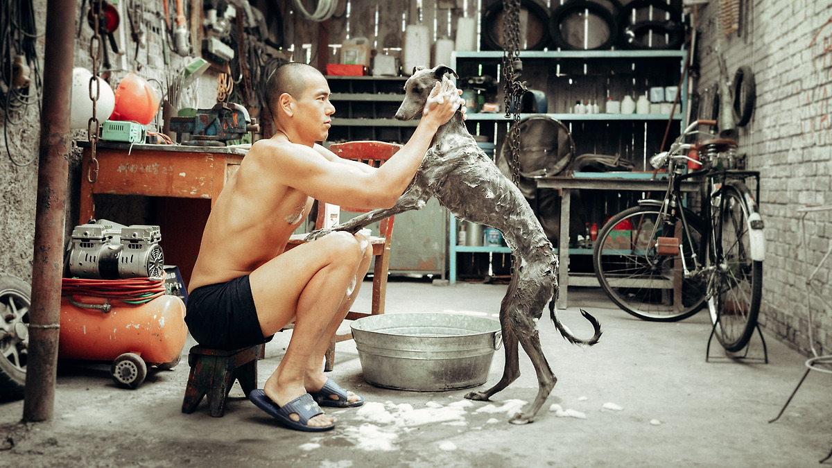 Rabid Cities, Abandoned Souls: ‘Black Dog’ (2024) as a Mirror to Modern China