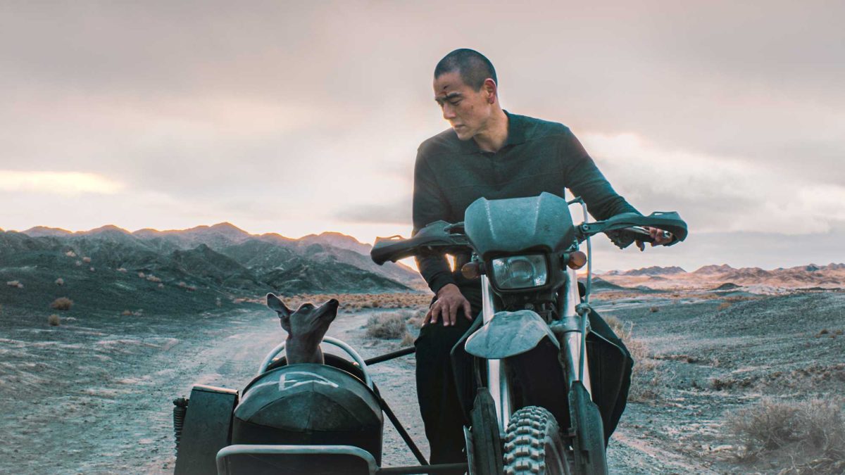 Rabid Cities, Abandoned Souls: ‘Black Dog’ (2024) as a Mirror to Modern China