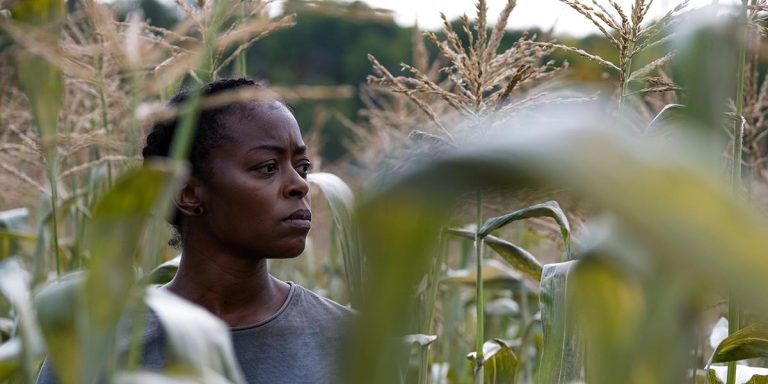 Where to Watch & Stream ‘40 Acres’ Online?: Digital Streaming Release Date Revealed