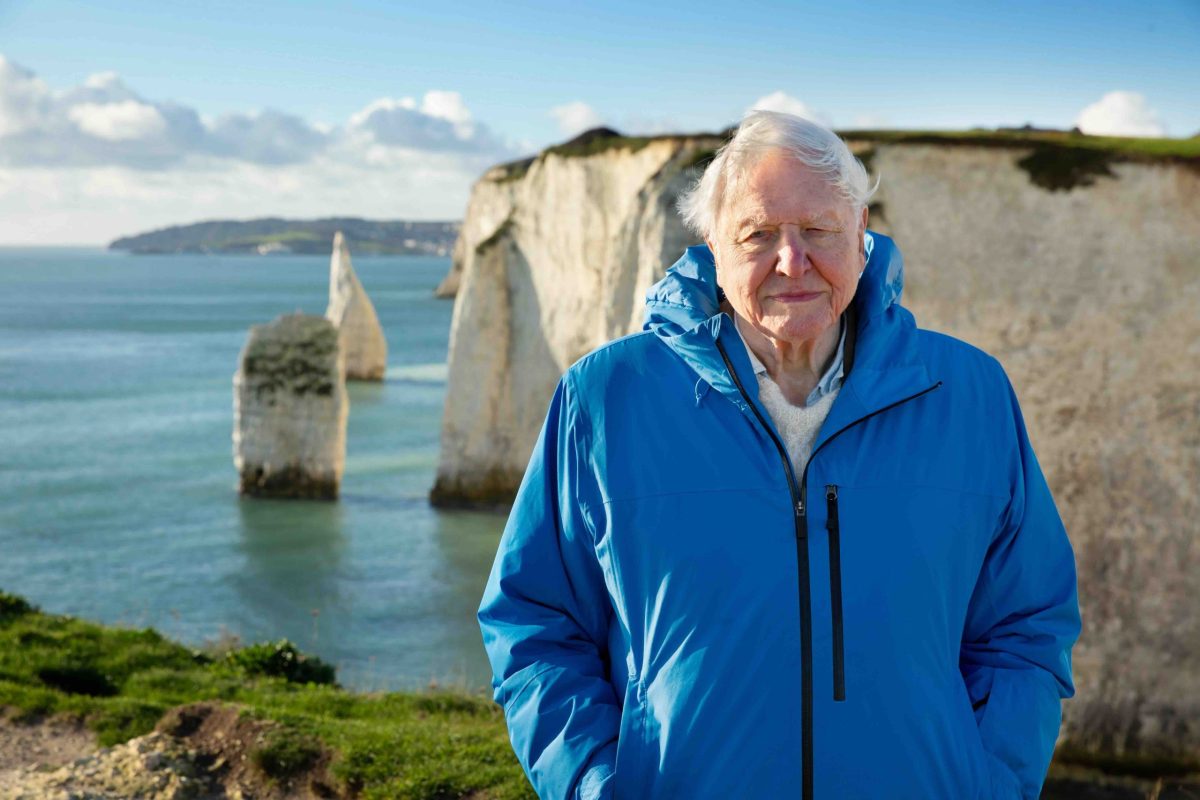 David Attenborough’s New BBC Documentary “Wild London” Explores the City’s Hidden Wildlife