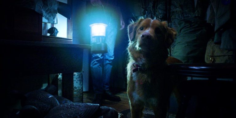 Good Boy (2025) Movie Review: Canine-led horror film is an original meditation on death