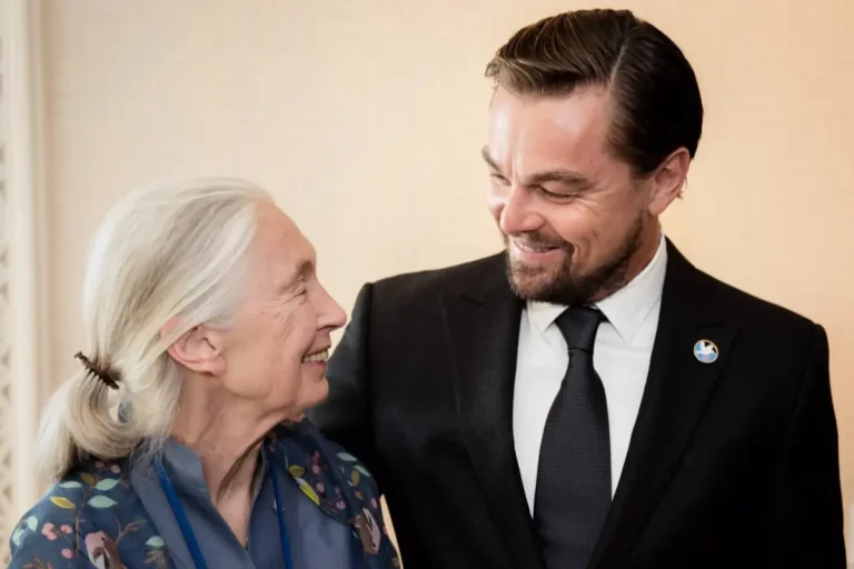 Leonardo DiCaprio Pays Tribute to Jane Goodall: Remembering the Primatologist’s Legacy