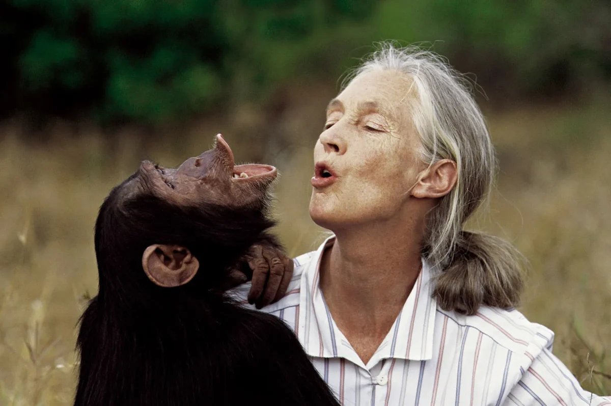 Leonardo DiCaprio Pays Tribute to Jane Goodall: Remembering the Primatologist’s Legacy