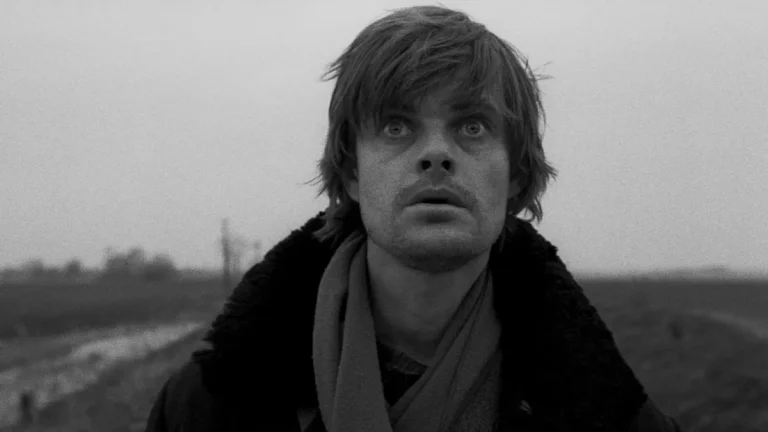 Werckmeister Harmonies (2000) Movie Review: A Haunting Drama on the Fragile Border of Order and Chaos
