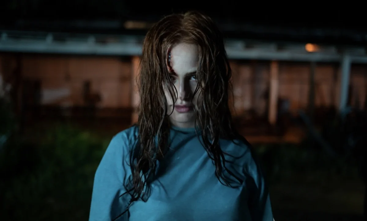 the strangers- Chapter 2 Stream