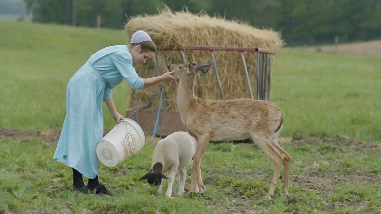 Arrest the Midwife (2025) ‘DOC NYC’ Documentary Review: A Critical but Moving Illustration of Present-Day Threats to Reproductive Rights