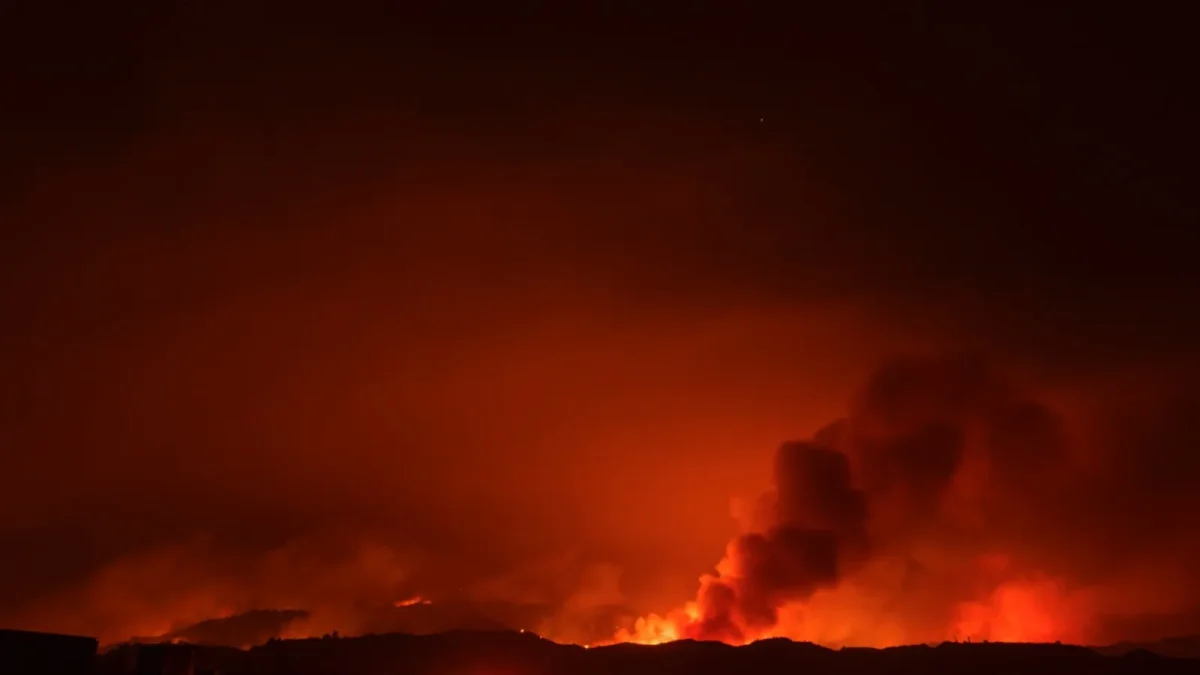 A still from Pistachio Wars (2025).