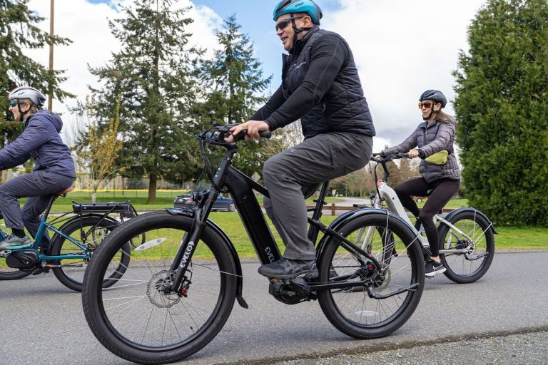 Long Range Electric Bikes vs Electric Trikes: Which Goes the Distance?