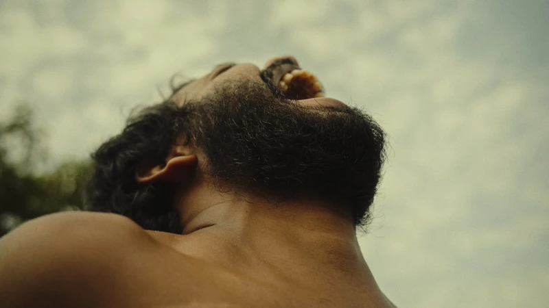 Dyspepsia By Salty Biscuits (2026)