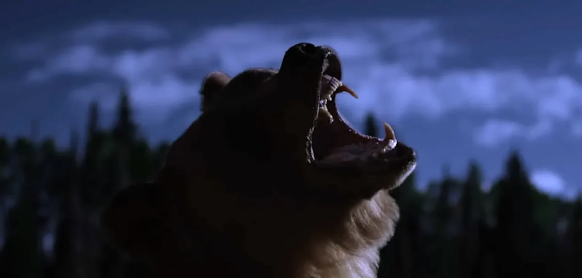 Grizzly Night (2026)