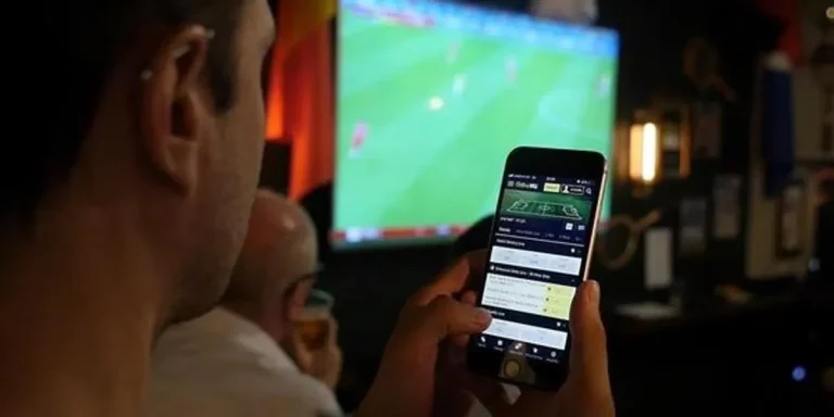How Online Sports Platforms Process Matches and Results