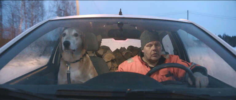 The Beauty of Errors (2026)